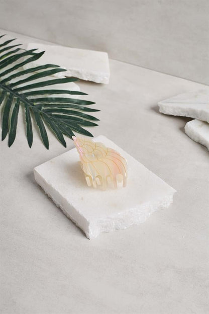 Unique Acetate Claws