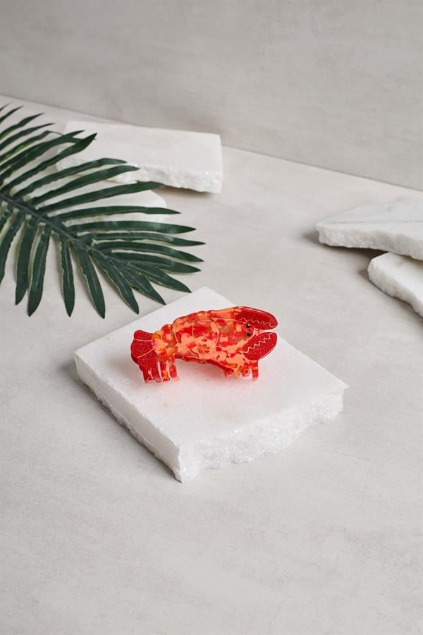 Unique Acetate Claws