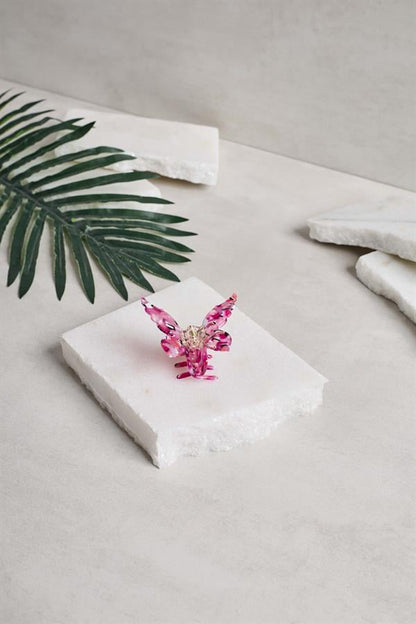 Unique Acetate Claws