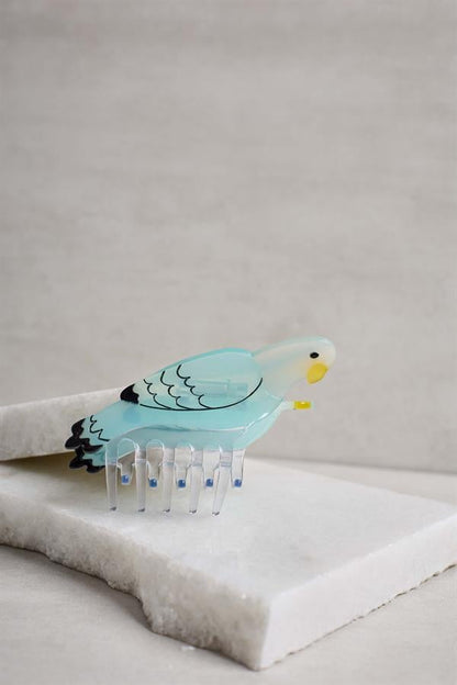 Unique Acetate Claws